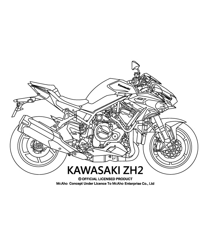 i-192-KAWASAKI ZH2 摩托車