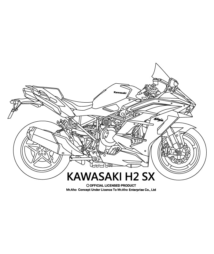 i-153-Kawasaki H2 SX 摩托車