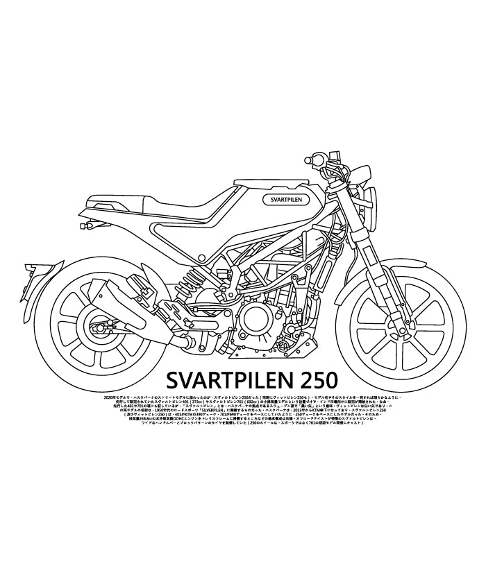 i-84-SVARTPILEN 250 摩托車